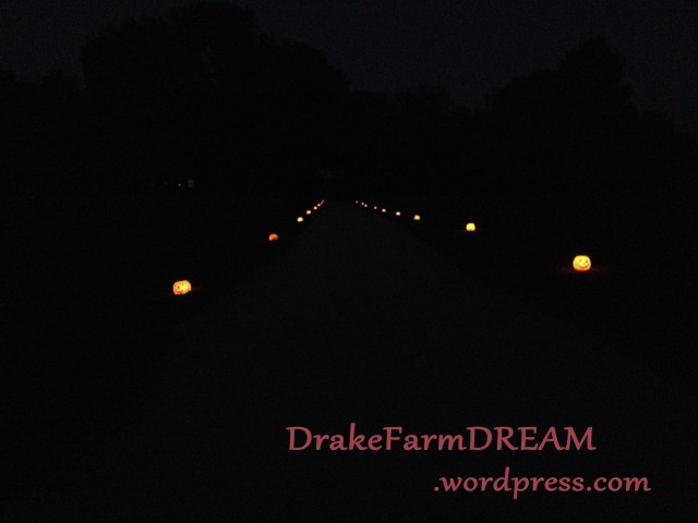 Pumpkin Lantern Alley